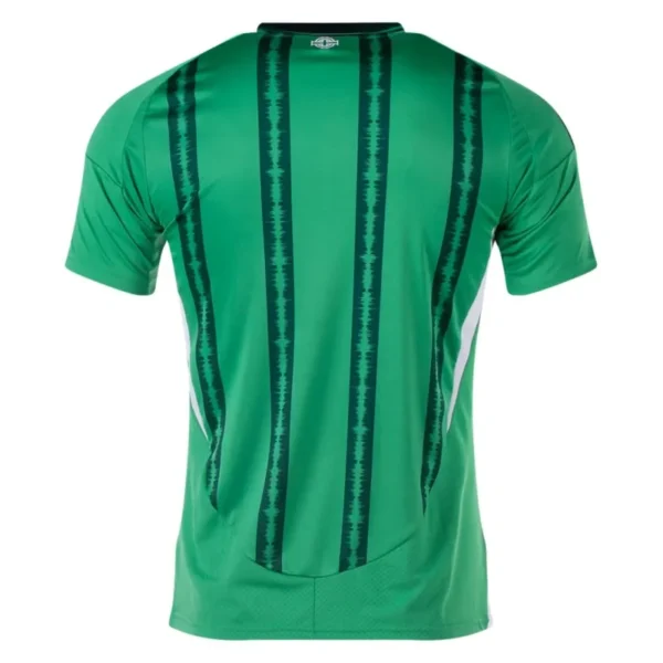 Northern Ireland Home Jersey 2024 - Image 2